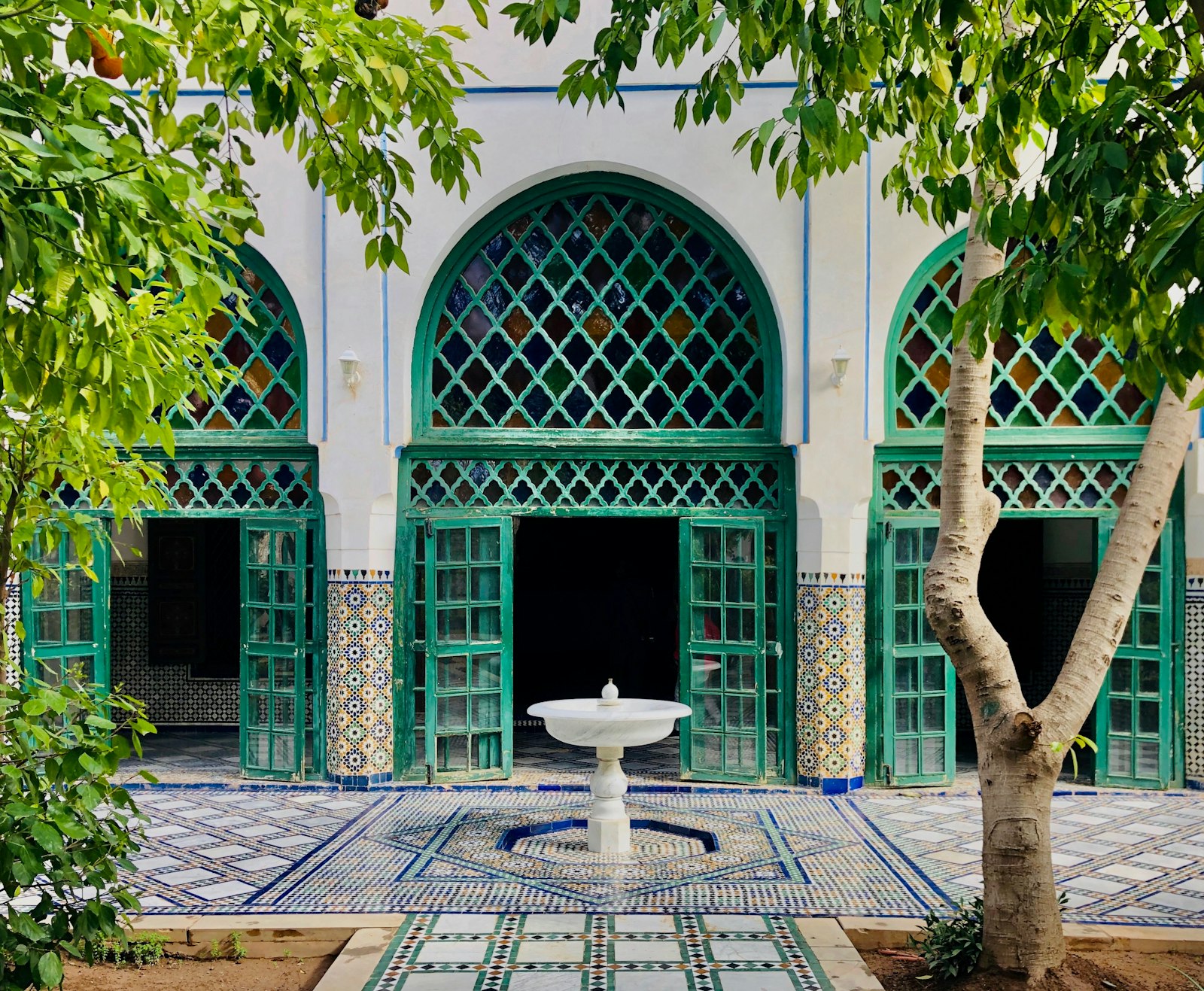 Palmier devant une façade claire